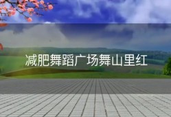 减肥舞蹈广场舞山里红