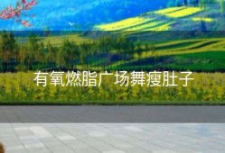 有氧燃脂广场舞瘦肚子