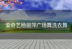 爱奇艺杨丽萍广场舞洗衣舞