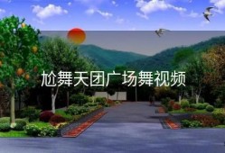 尬舞天团广场舞视频