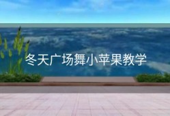 冬天广场舞小苹果教学