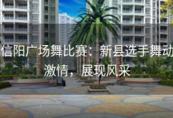 信阳广场舞比赛：新县选手舞动激情，展现风采