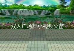 双人广场舞小视频火苗