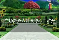 广场舞双人舞爱你心口难开