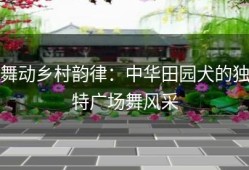 舞动乡村韵律：中华田园犬的独特广场舞风采