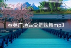 春英广场舞爱是辣舞mp3