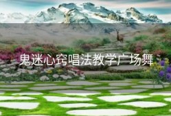 鬼迷心窍唱法教学广场舞