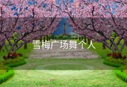 雪梅广场舞个人