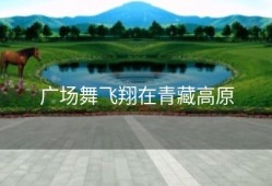 广场舞飞翔在青藏高原