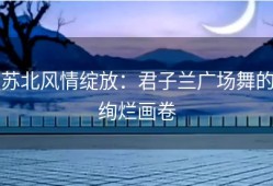 苏北风情绽放：君子兰广场舞的绚烂画卷
