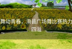 舞动青春，滑县广场舞比赛热力四溢