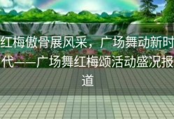 红梅傲骨展风采，广场舞动新时代——广场舞红梅颂活动盛况报道