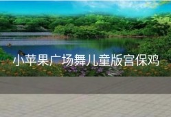 小苹果广场舞儿童版宫保鸡