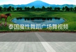 泰国魔性舞蹈广场舞视频