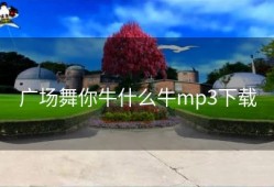 广场舞你牛什么牛mp3下载