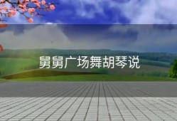 舅舅广场舞胡琴说