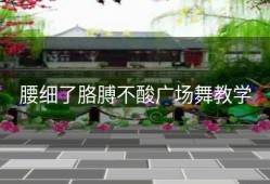 腰细了胳膊不酸广场舞教学