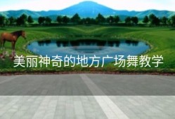 美丽神奇的地方广场舞教学