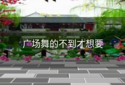 广场舞的不到才想要