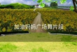 加油妈妈广场舞片段