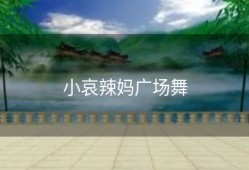 小哀辣妈广场舞