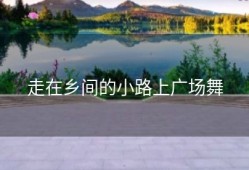 走在乡间的小路上广场舞