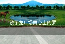 饶子龙广场舞心上的罗