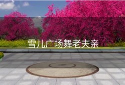 雪儿广场舞老夫亲