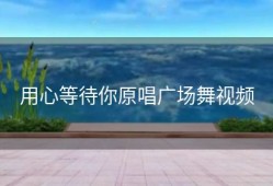 用心等待你原唱广场舞视频