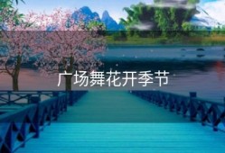 广场舞花开季节