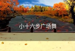 小十六步广场舞