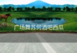 广场舞苏何酒吧西瓜