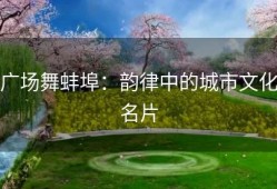 广场舞蚌埠：韵律中的城市文化名片