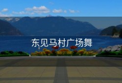 东见马村广场舞