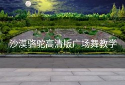 沙漠骆驼高清版广场舞教学