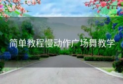 简单教程慢动作广场舞教学