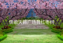 情歌天籁广场舞红枣树