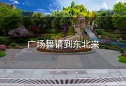 广场舞请到东北来