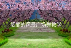 靓丽的风景广场舞教学