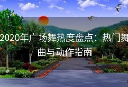 2020年广场舞热度盘点：热门舞曲与动作指南