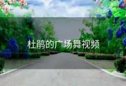 杜鹃的广场舞视频