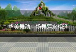 华美舞动广场舞萍水相逢