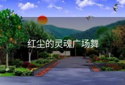 红尘的灵魂广场舞