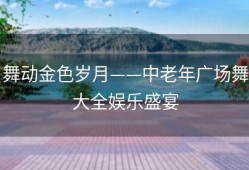 舞动金色岁月——中老年广场舞大全娱乐盛宴
