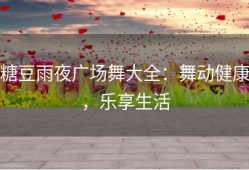 糖豆雨夜广场舞大全：舞动健康，乐享生活
