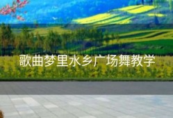歌曲梦里水乡广场舞教学