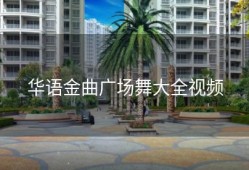 华语金曲广场舞大全视频