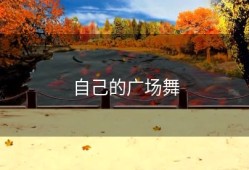 自己的广场舞