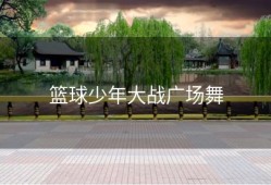 篮球少年大战广场舞