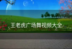 王老虎广场舞视频大全